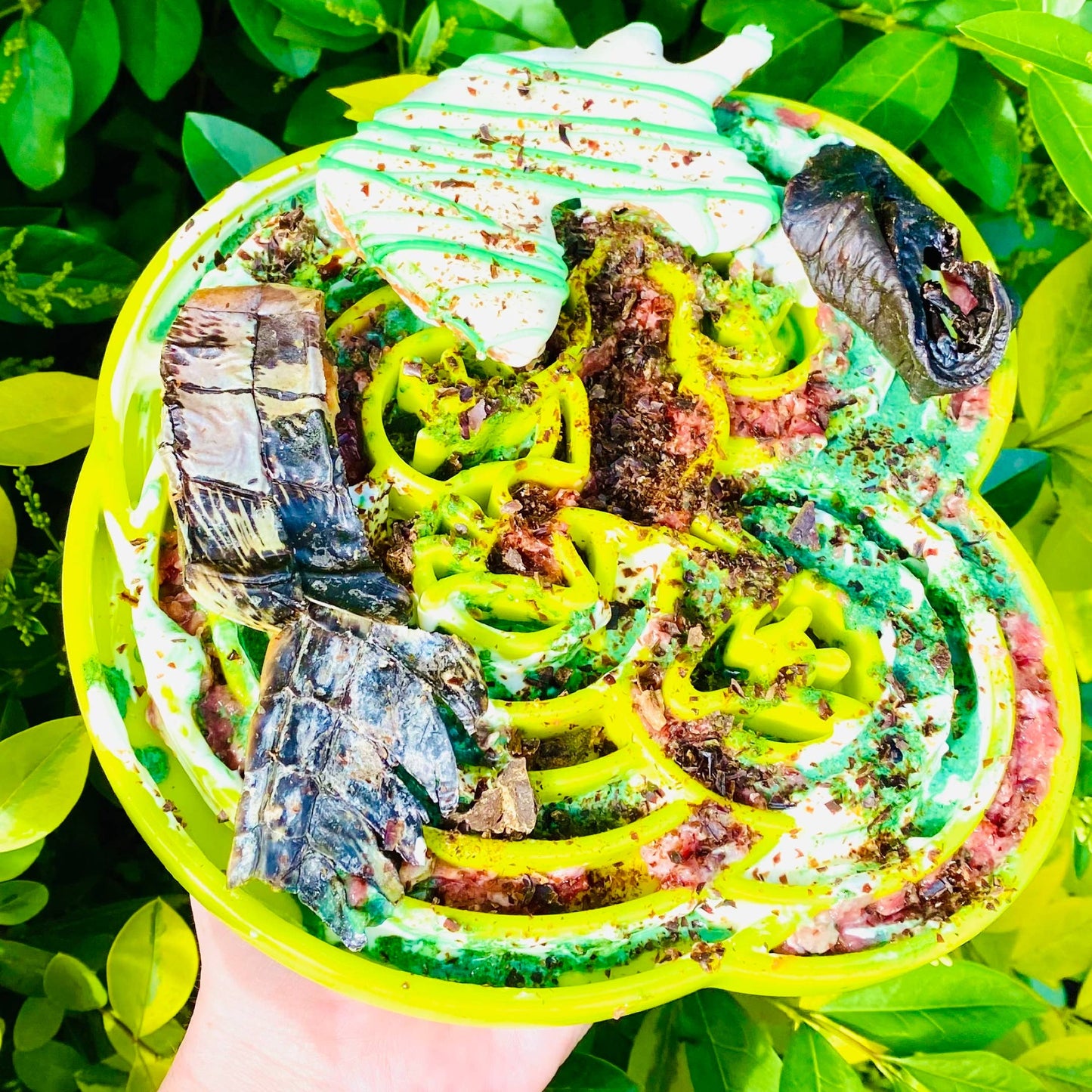 Croc Crisps - Crocodile Chips - New