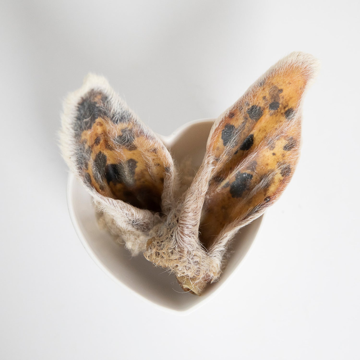 Lamb Ear