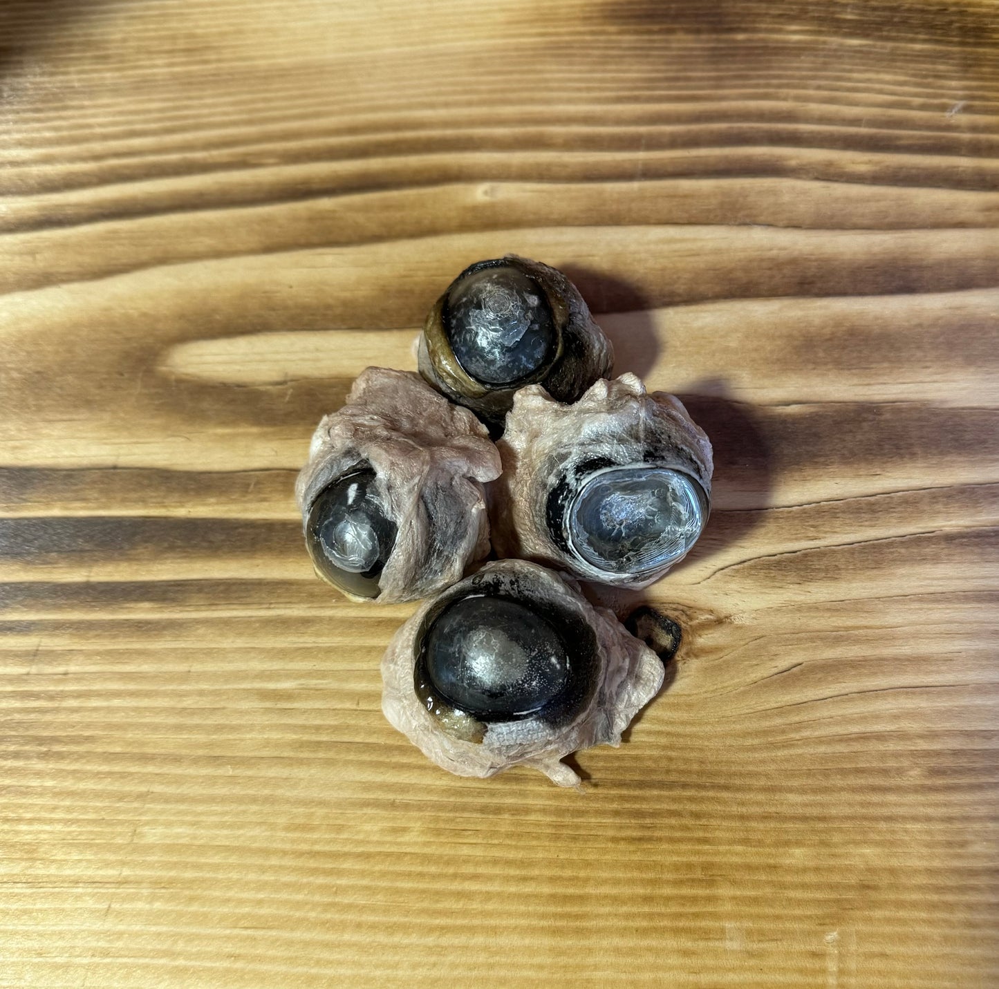 Freeze Dried Beef Eyes