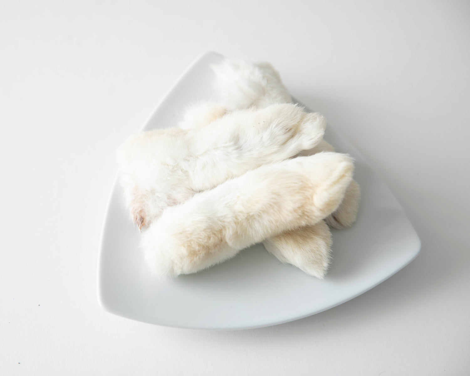 Dehydrated Rabbit feet
