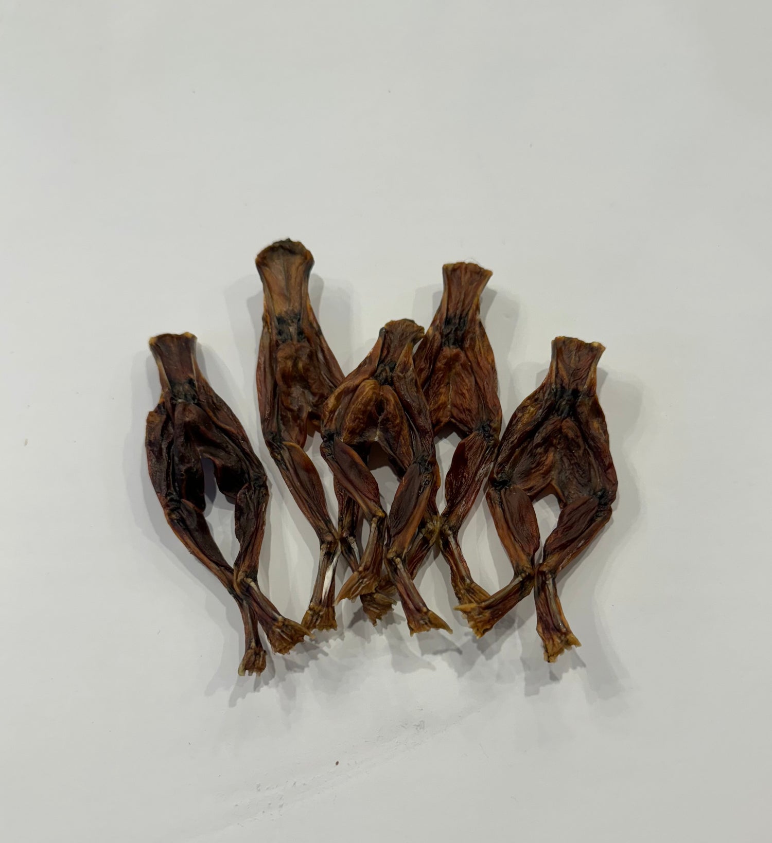 Dehydrated Frog Legs