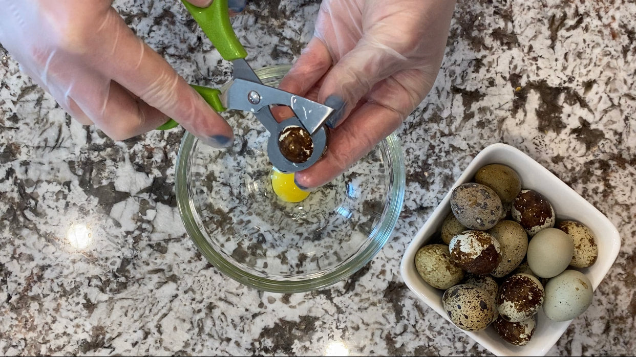 Quail Egg Scissors