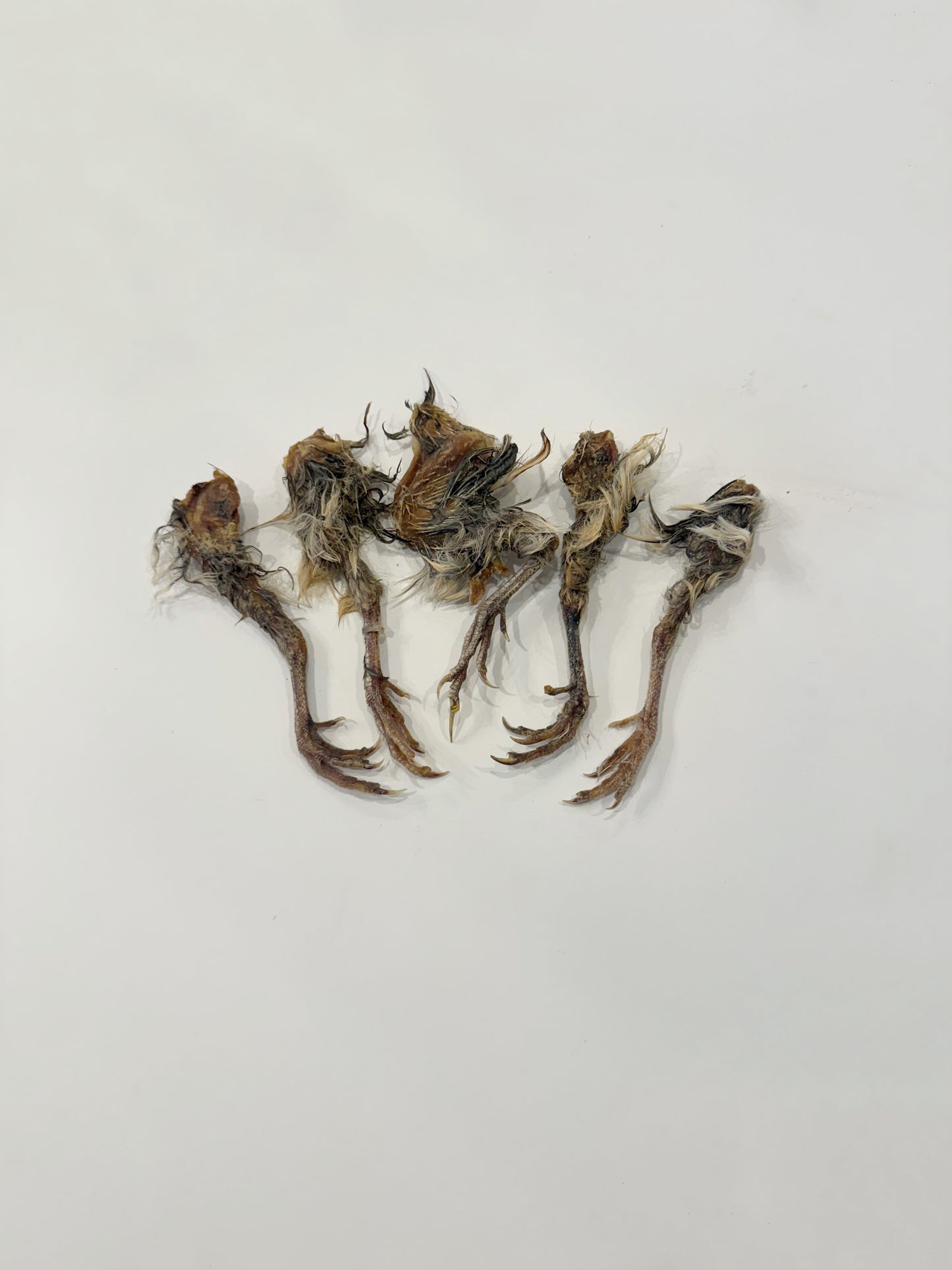 Dehydrated Quail Legs