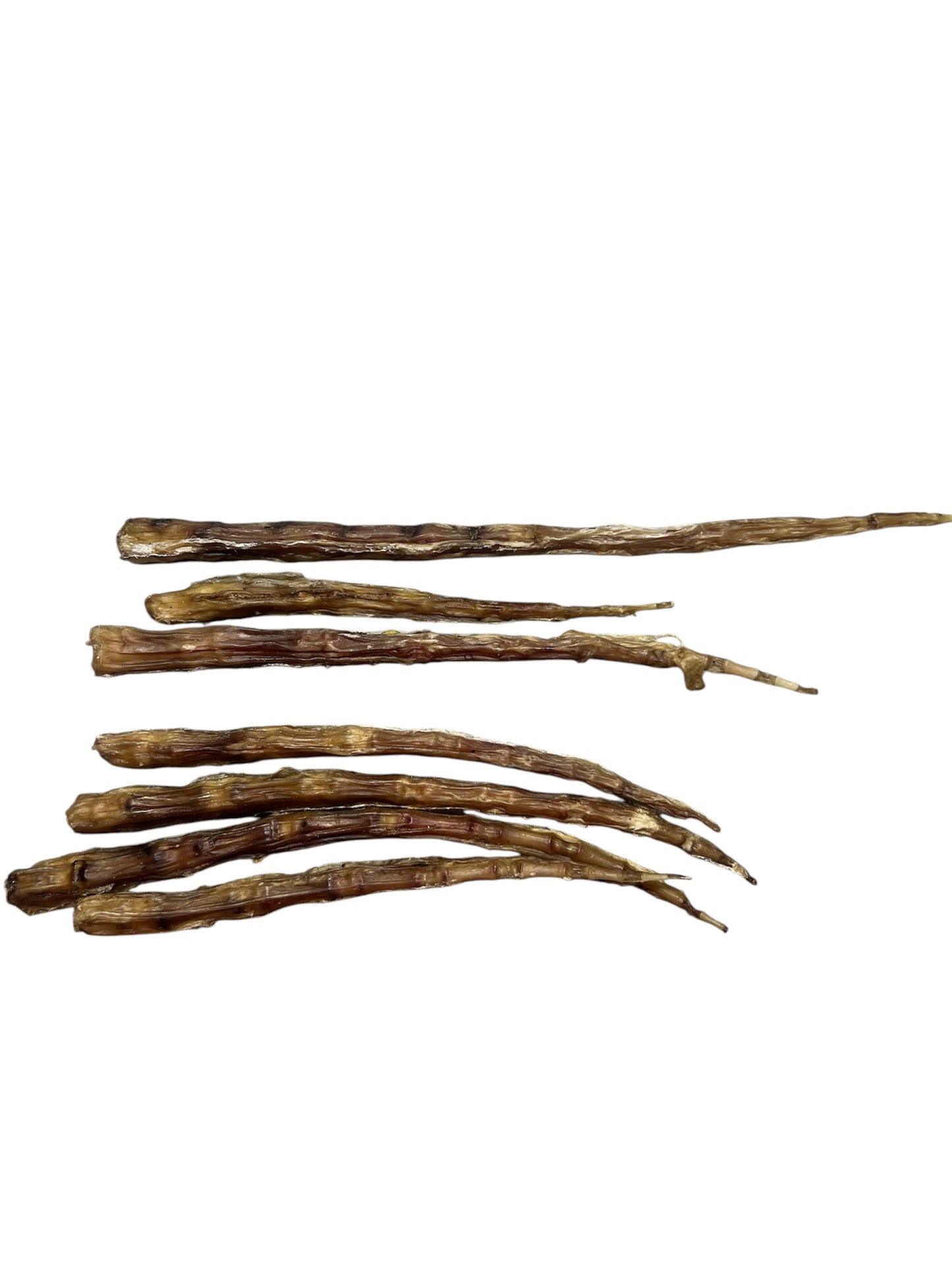 Dehydrated Cow Tail Tip