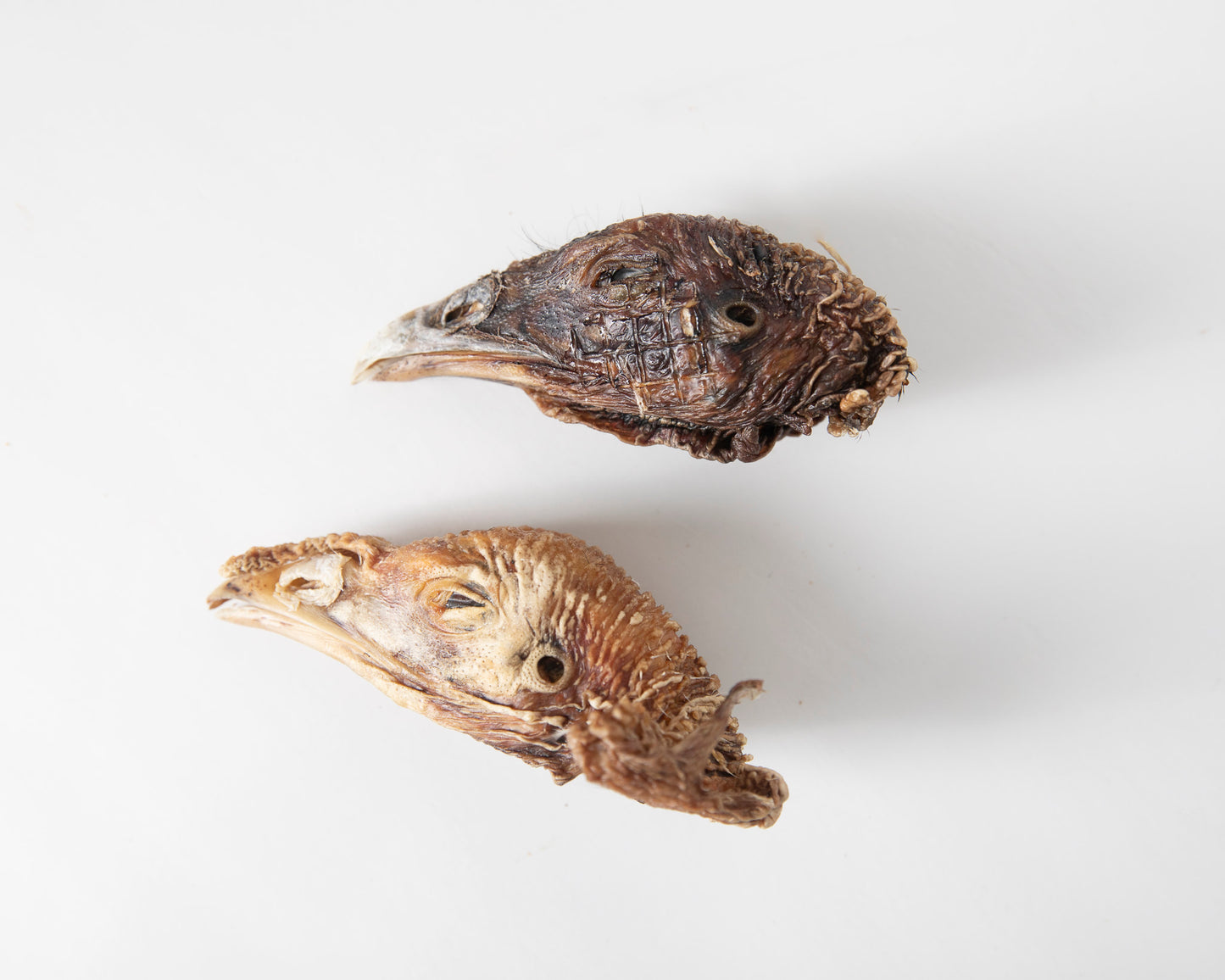 Dehydrated Turkey Heads
