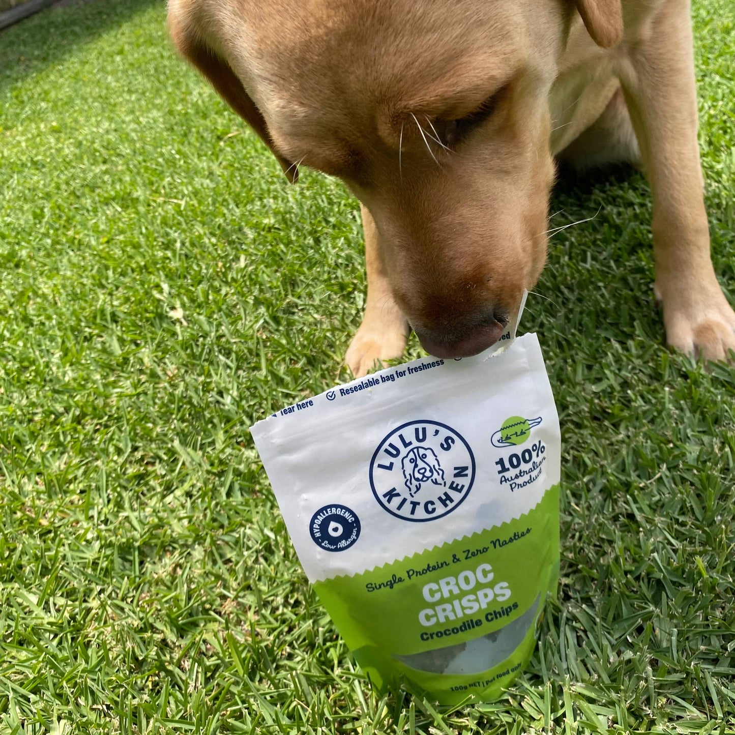 Croc Crisps - Crocodile Chips - New