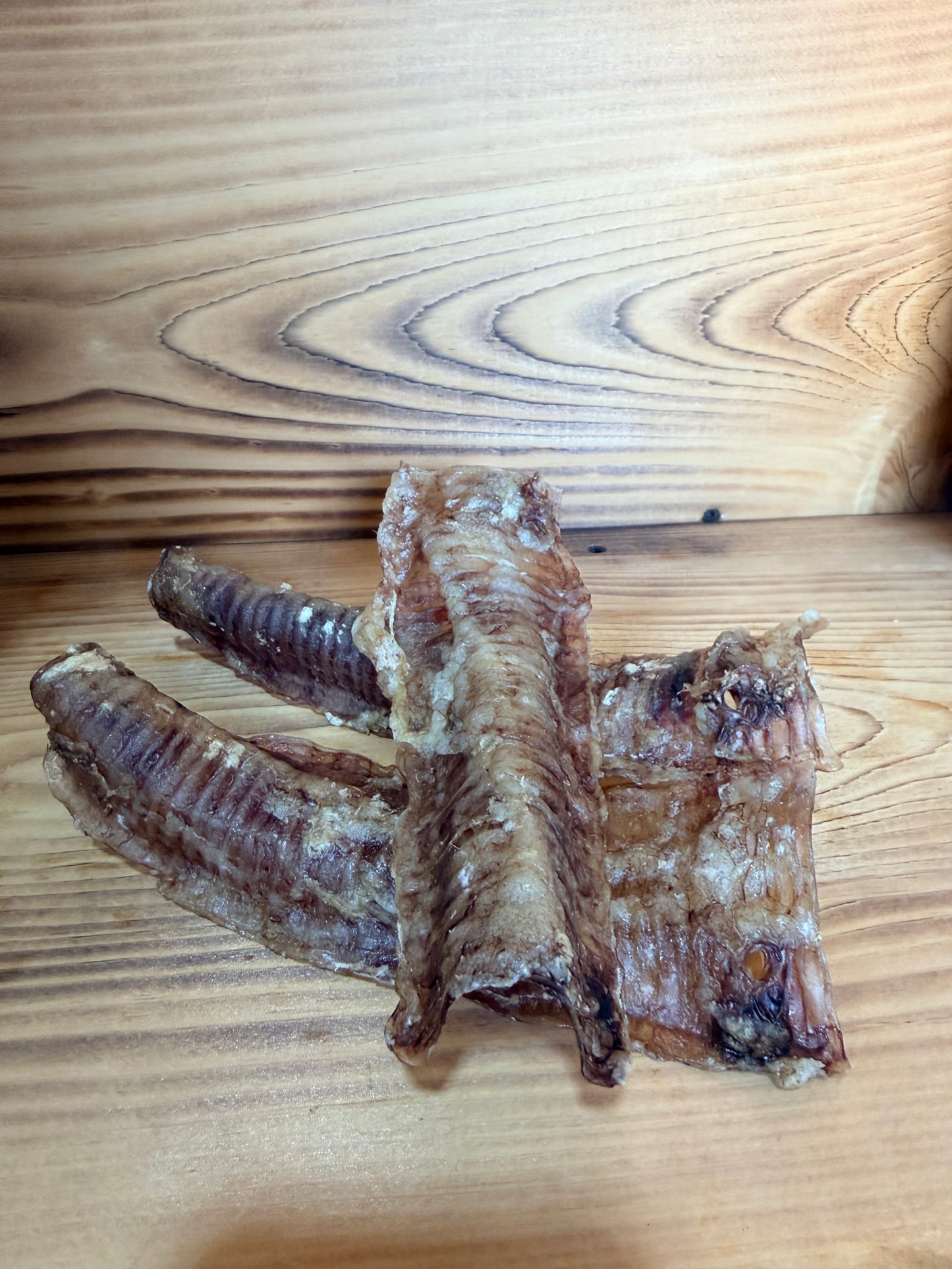 Lamb Trachea