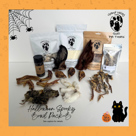 Spooky Halloween Pack-B Small Breed