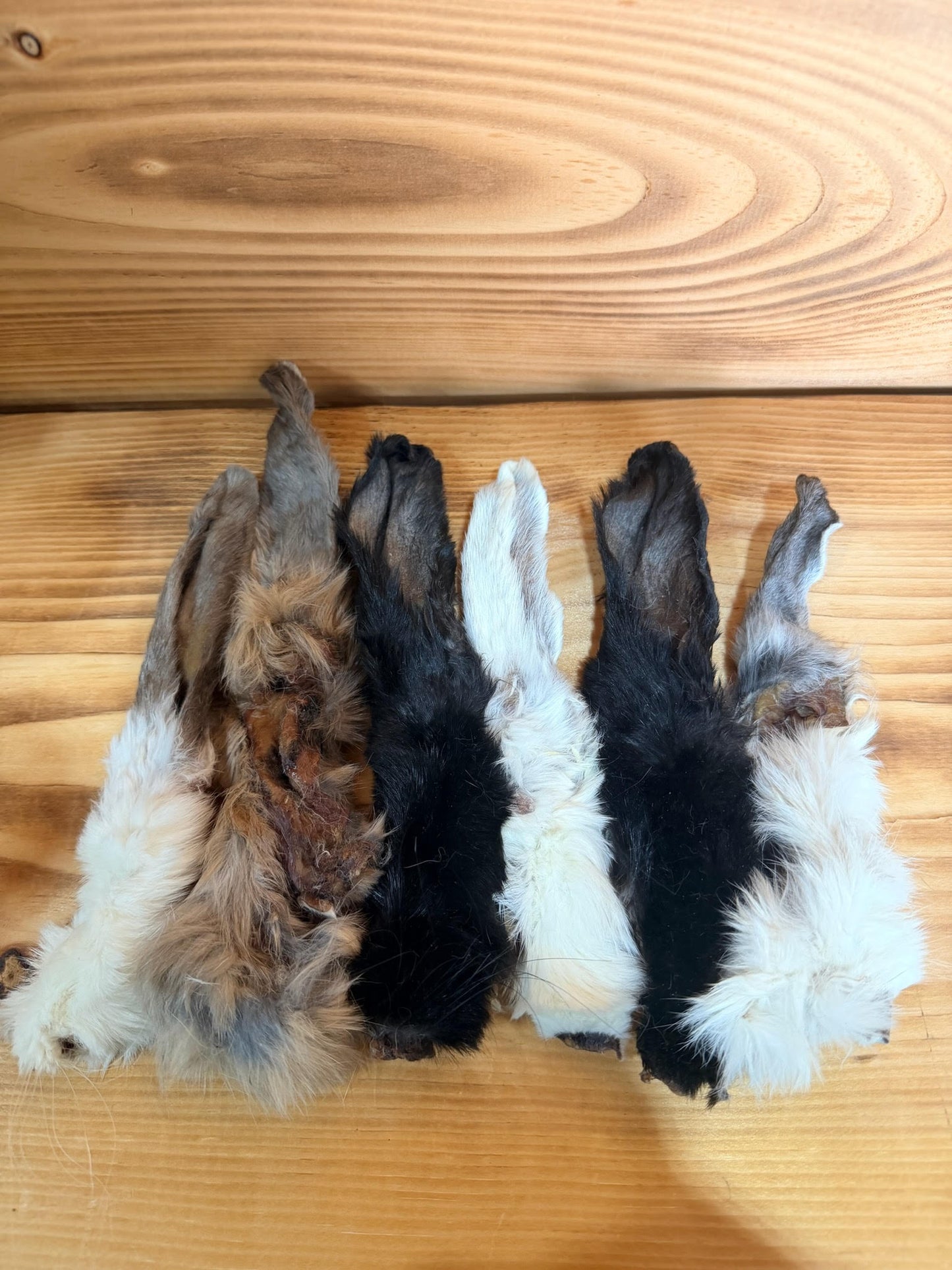 Bunny Chips - Rabbit Ears