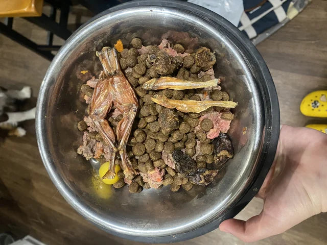 Dehydrated Frog Legs