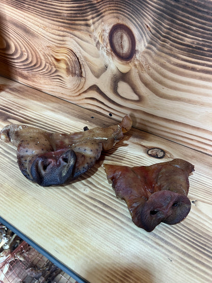 Dehydrated Pig Snout