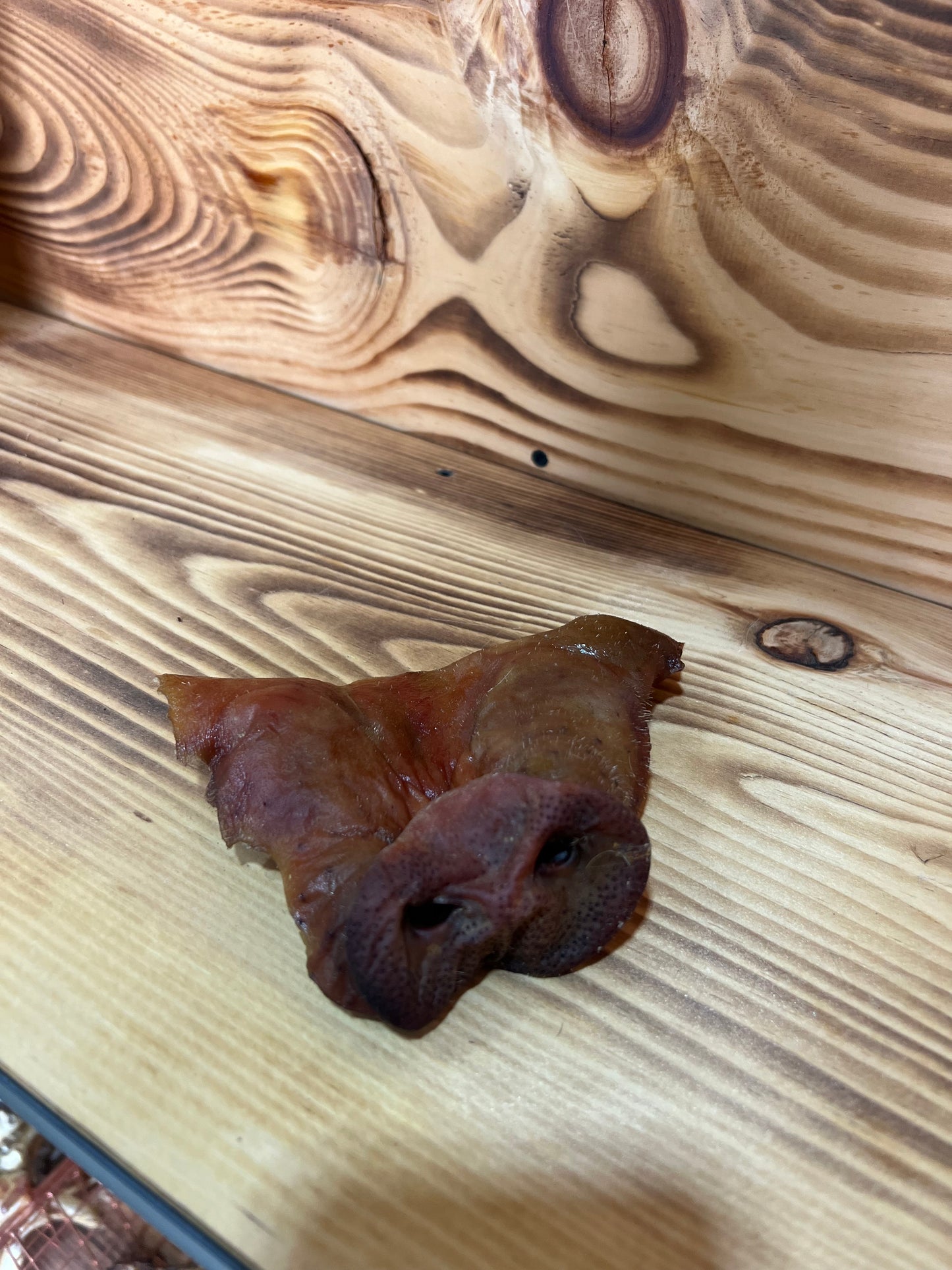 Dehydrated Pig Snout