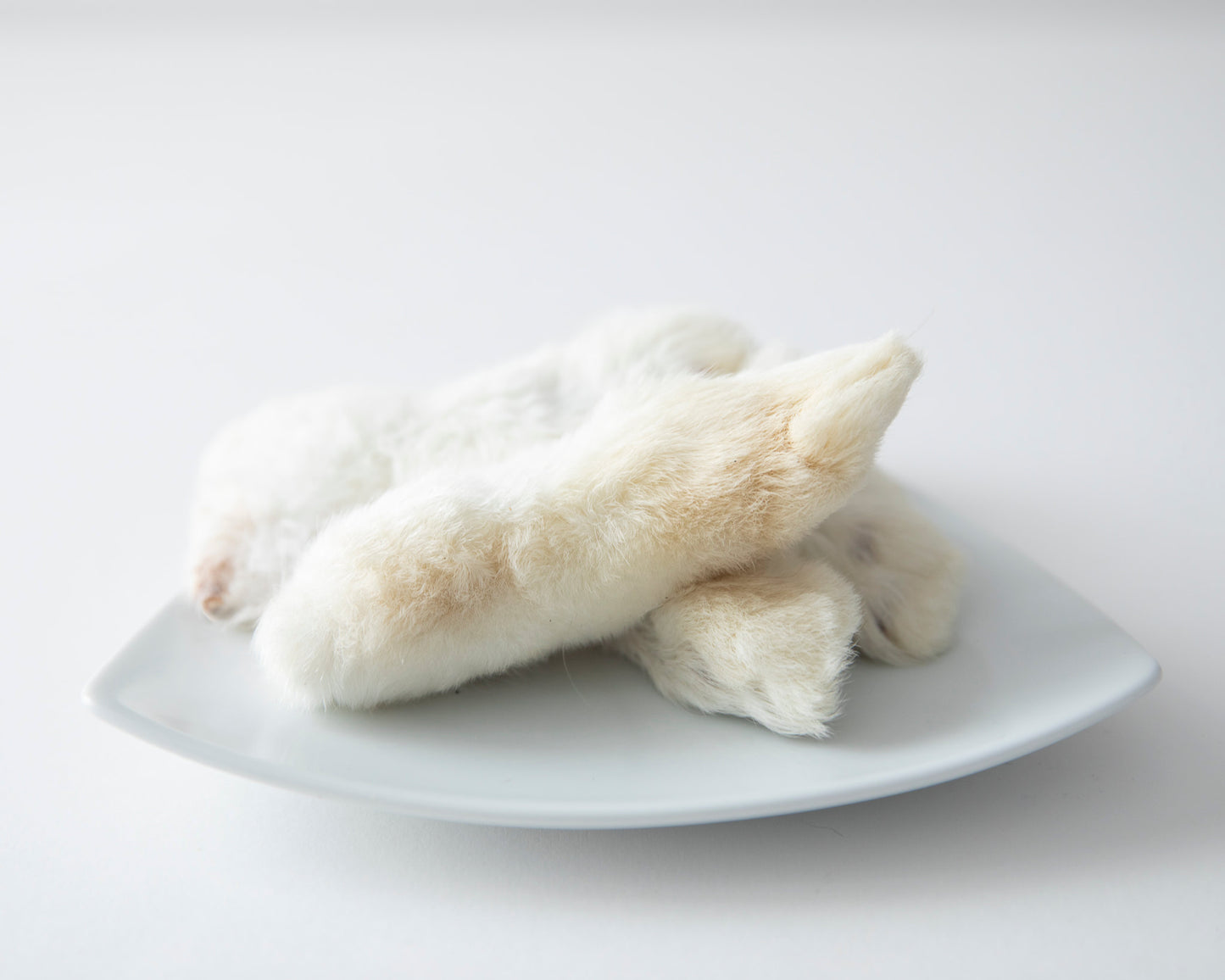 Dehydrated Rabbit feet