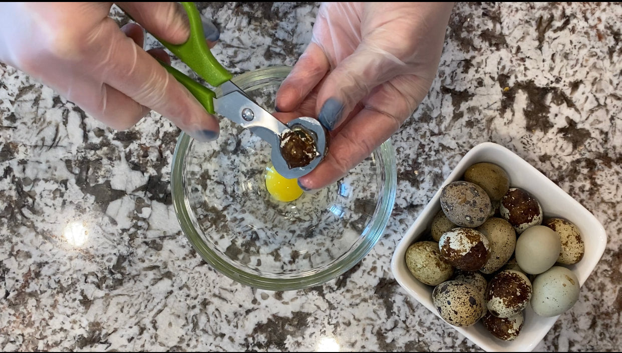 Quail Egg Scissors