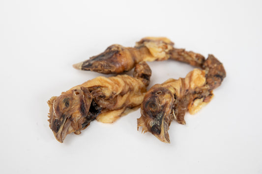 Chicken Head with Neck
