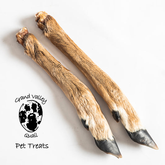 Dehydrated Deer Leg (each)