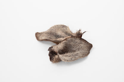 Lulu's Kitchen- Roo Ears