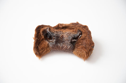Dehydrated Beef Snout