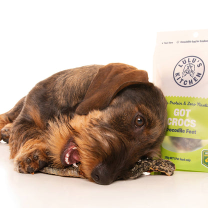 GOT CROCS - Healthy Chews