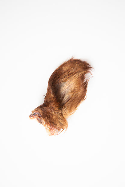 Dehydrated Beef Ears with Fur