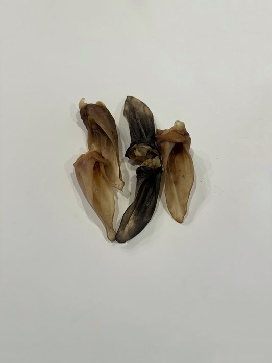 Lamb Ear